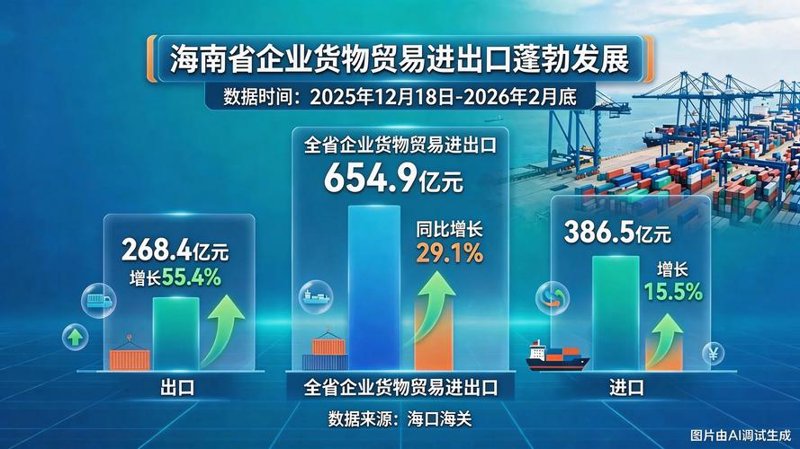 海南进出口代理：常见误区解析