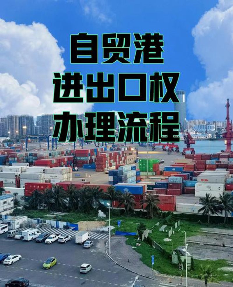 海南进出口代理